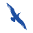 Airline Logo