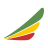 Ethiopian Airlines