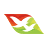 Airline Logo