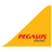 Airline Logo