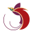 Airline Logo