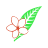 Airline Logo