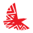 Airline Logo