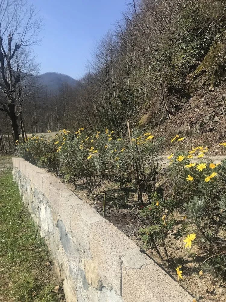 Konaklama yerinin ön cephesi