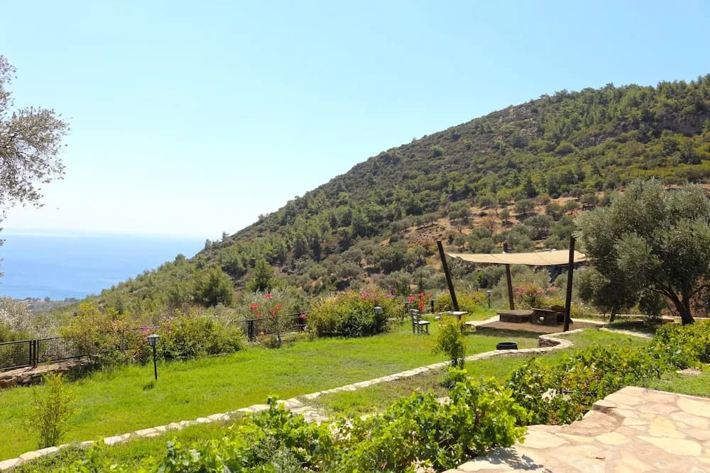 Bahçe