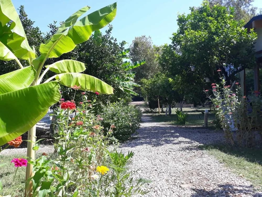 Bellerofon Camping