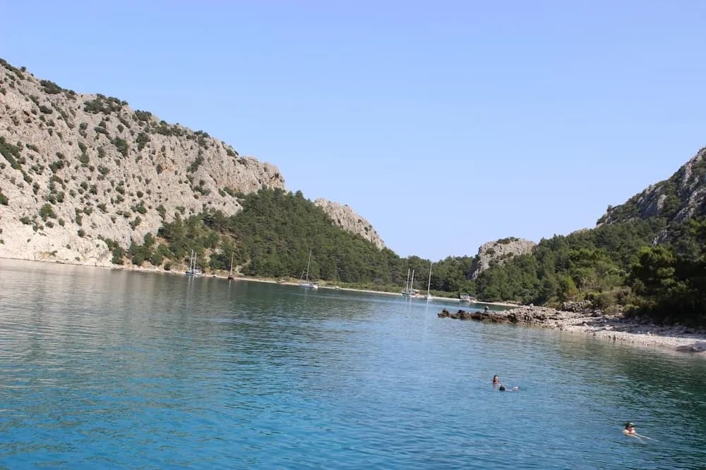 Diğer