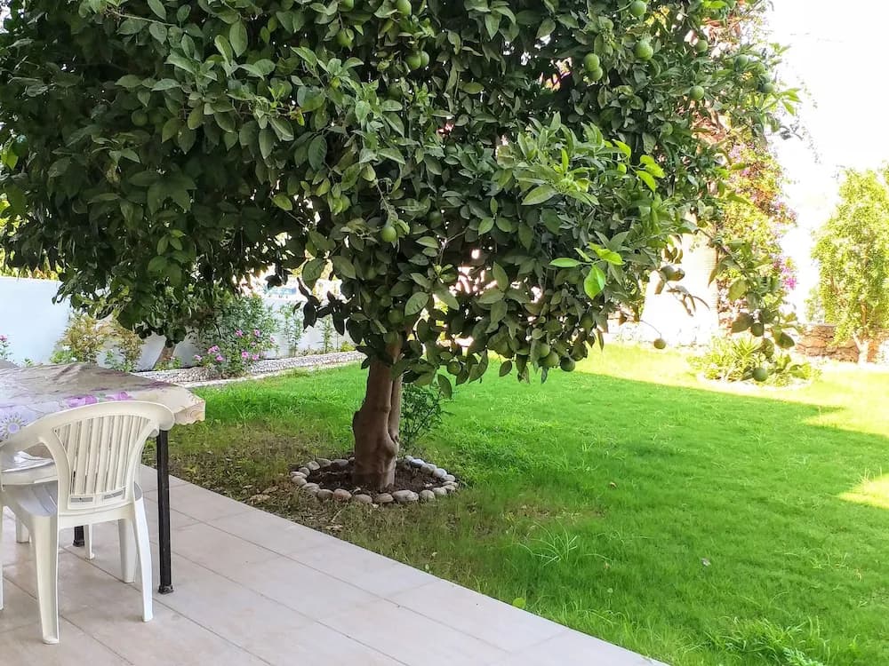 Teras/veranda