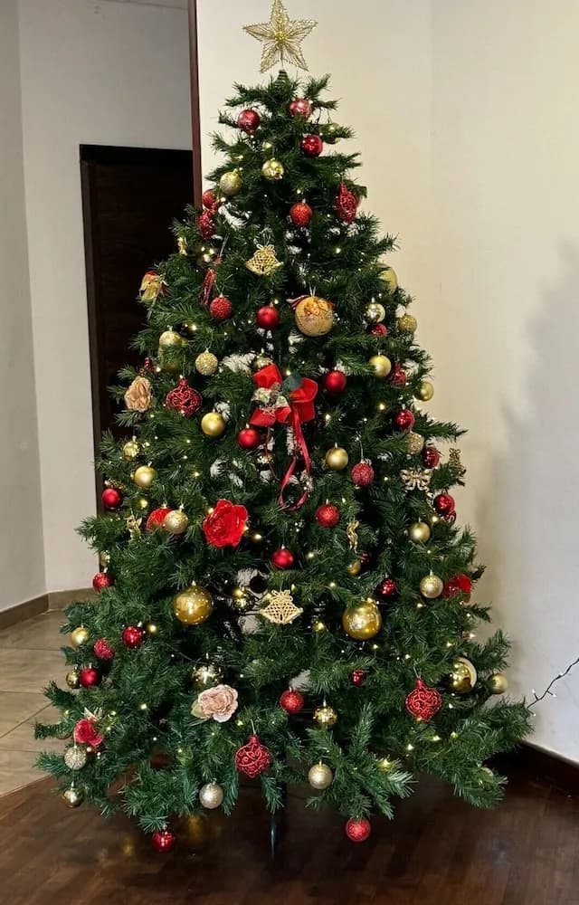 İç mekân girişi