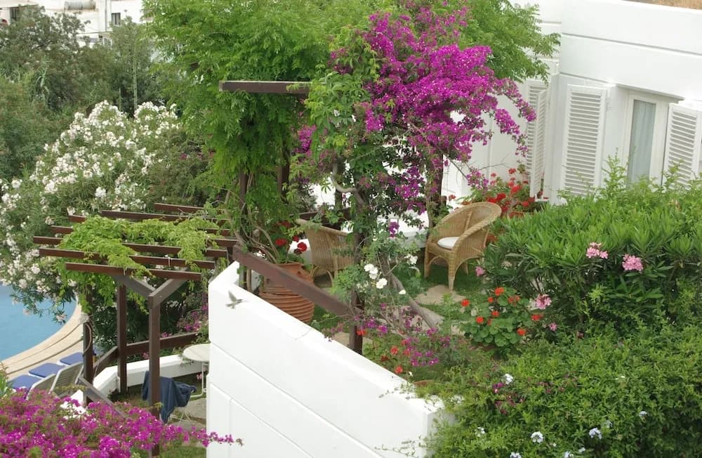 Teras/veranda