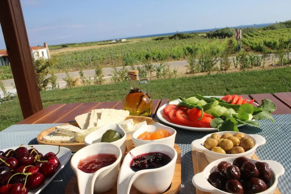 Bozcaada Defne Bag Evi