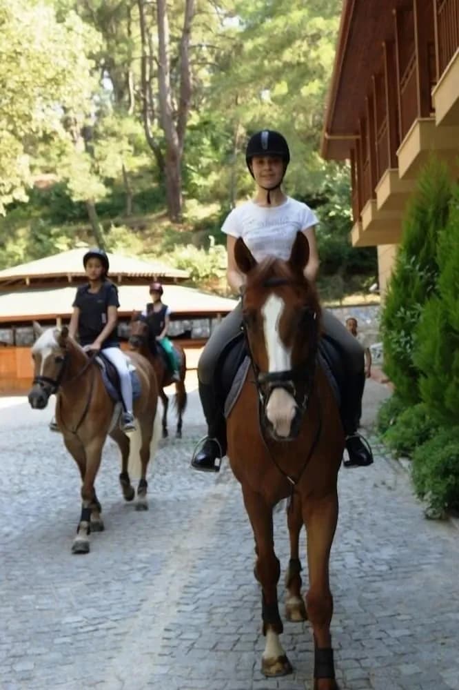 Konaklama yeri imkân ve özellikleri