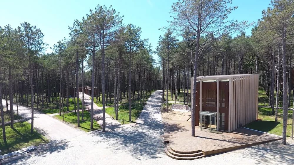 Longosphere Glamping