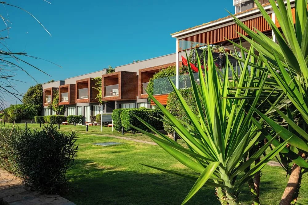 Palmalife Hotel