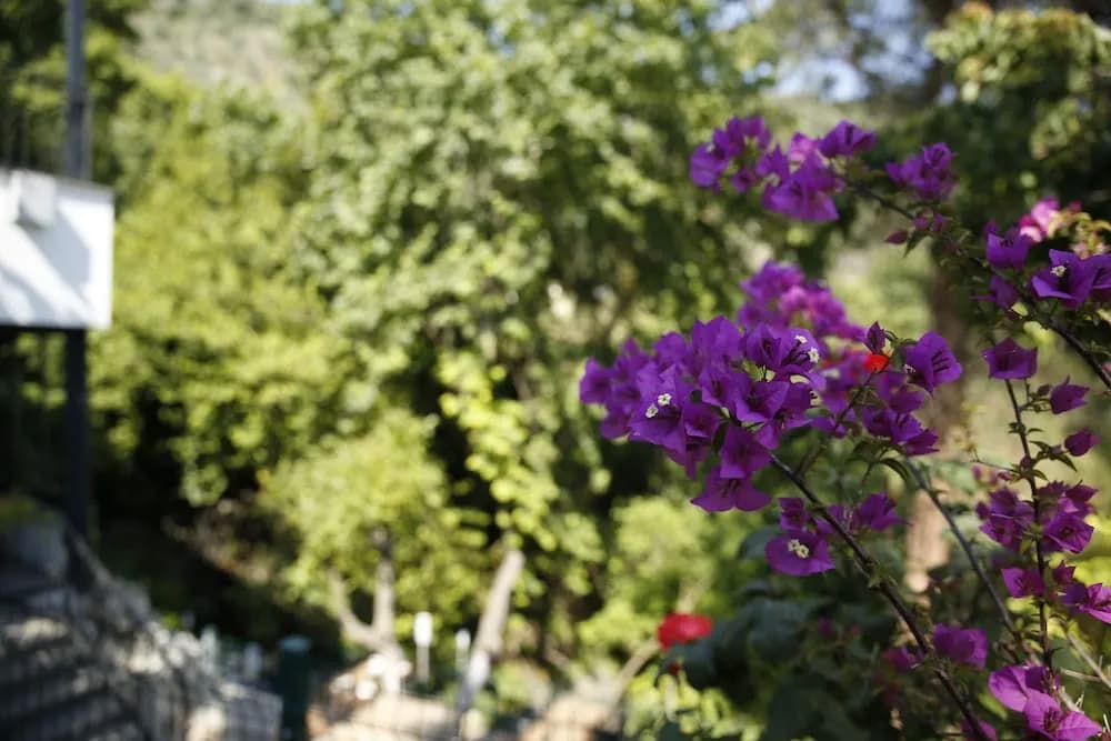 İç mekân