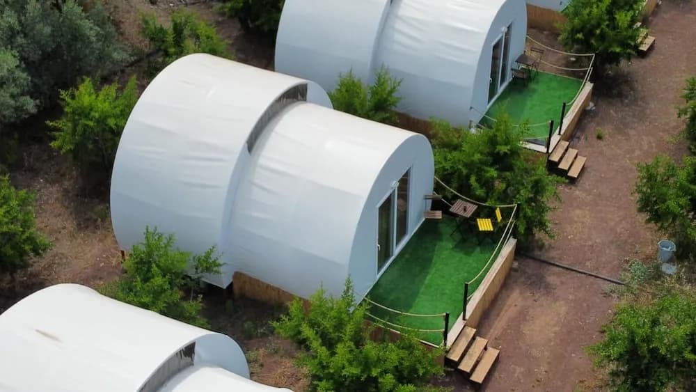 Evergreen Glamping