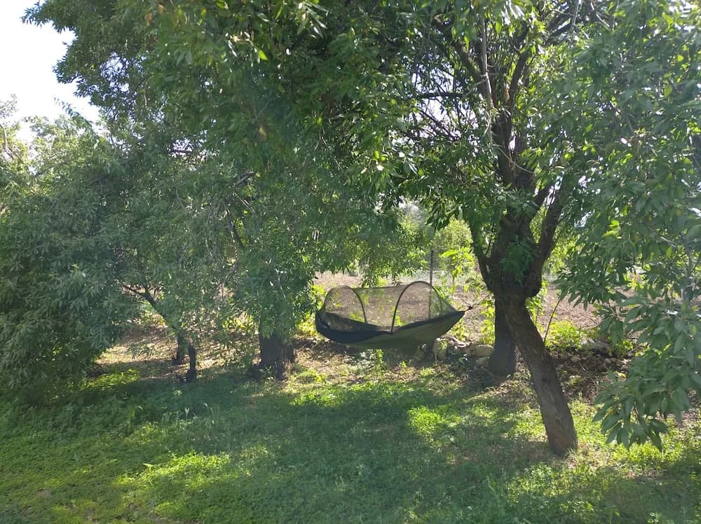 Dış mekân detayı