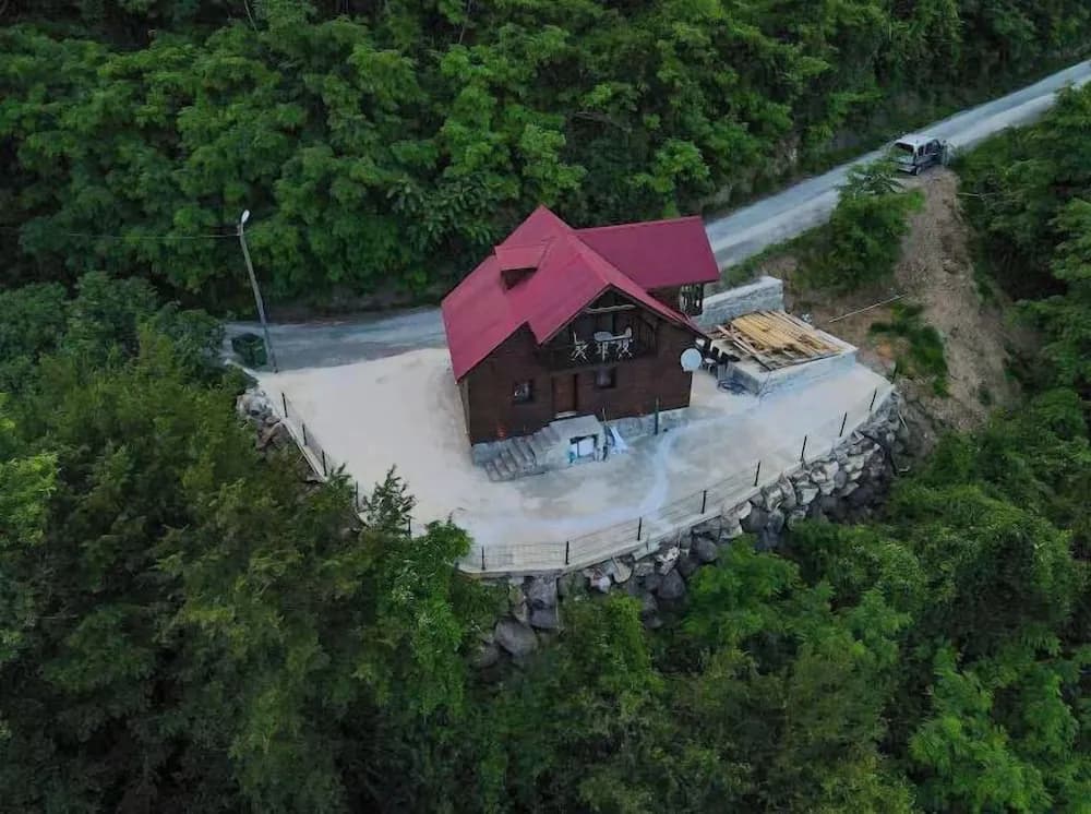 Diamond Tree House