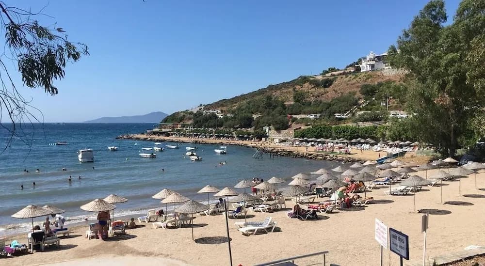 Plaj/okyanus manzarası