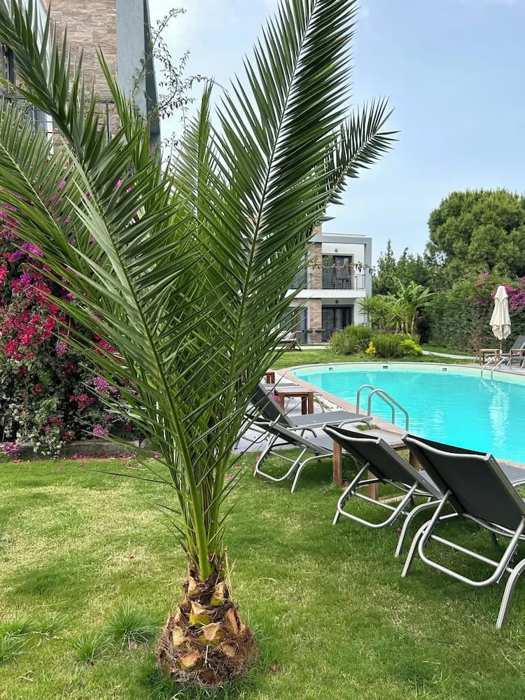 Malta Hotel Bodrum