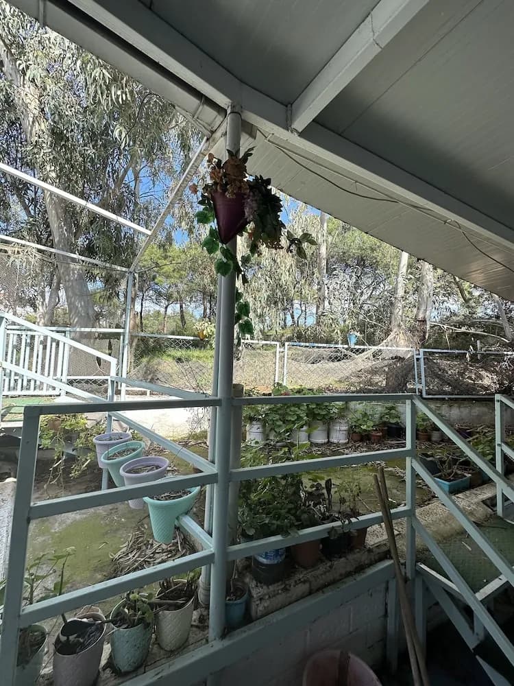 Beyaz Saray Apart Otel