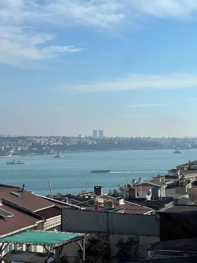 Roj Suite