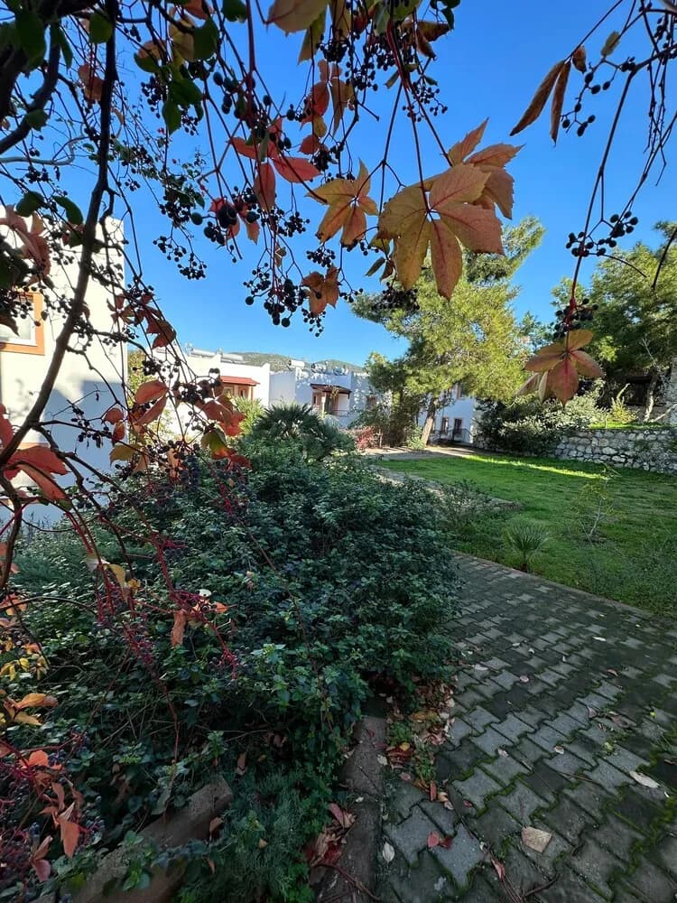 Dış mekân