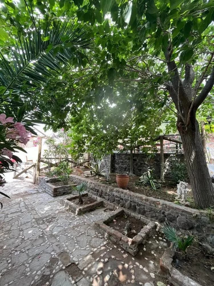 Dış mekân