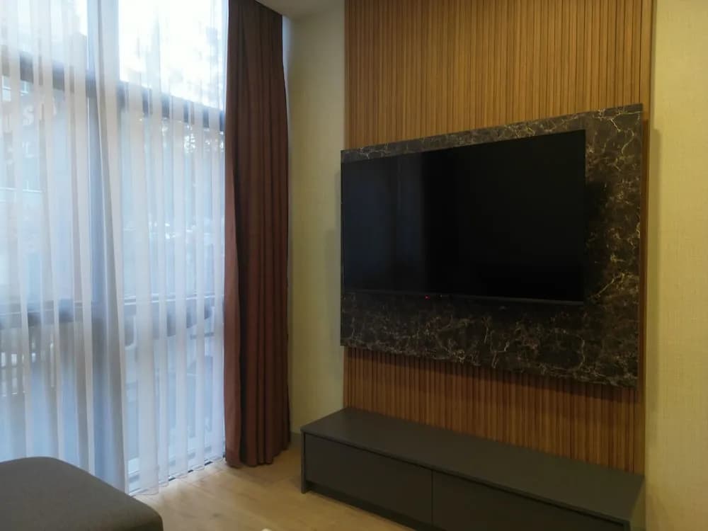 Televizyon