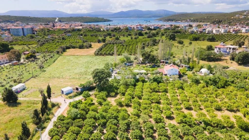 Ventus Küçük Otel Glamping Sığacık