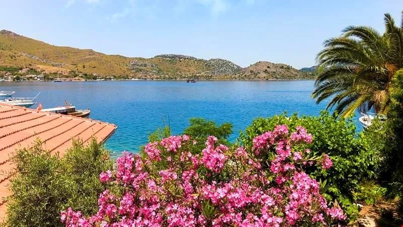 Taşdelen Selimiye