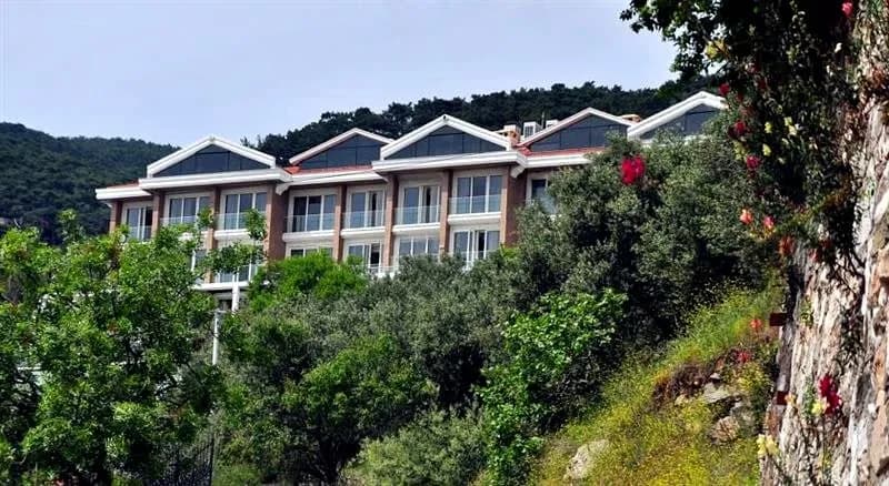 Rezone Health & Oxygen Hotel