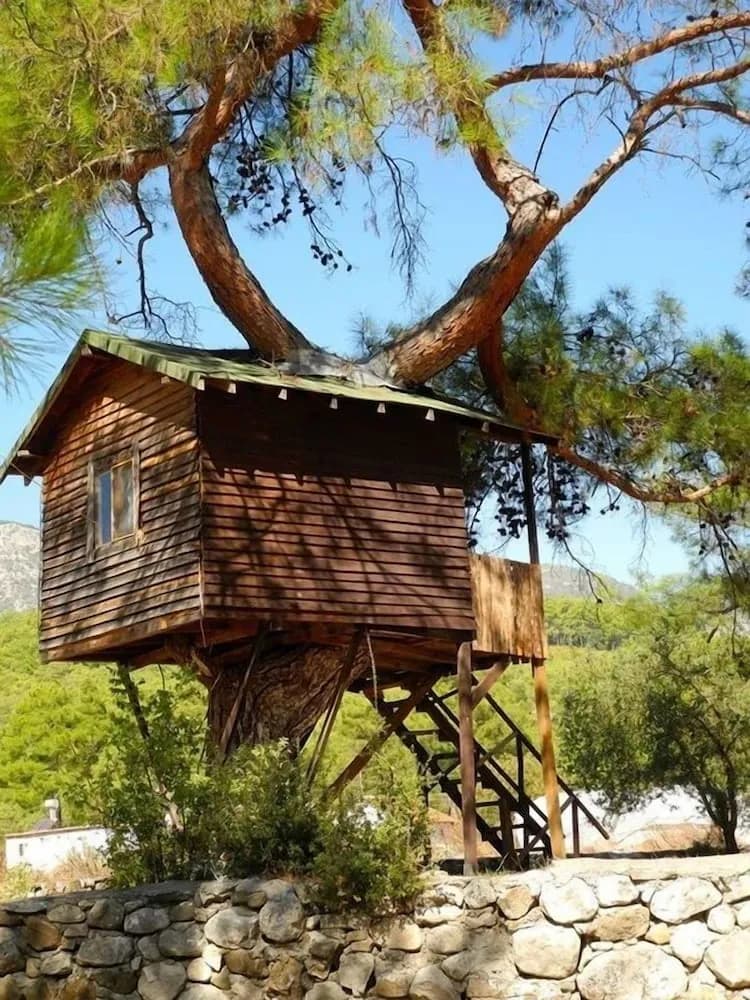 Olympos Woods - Adults Only