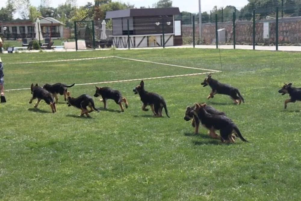 Konaklama yeri imkân ve özellikleri