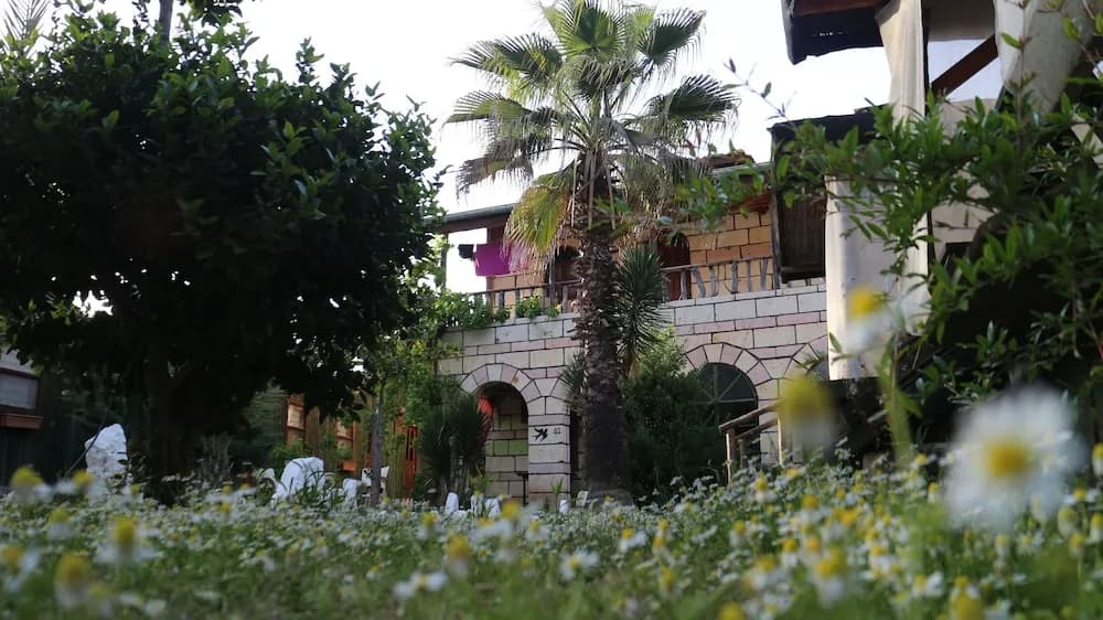 Captain Eudemos House Olympos