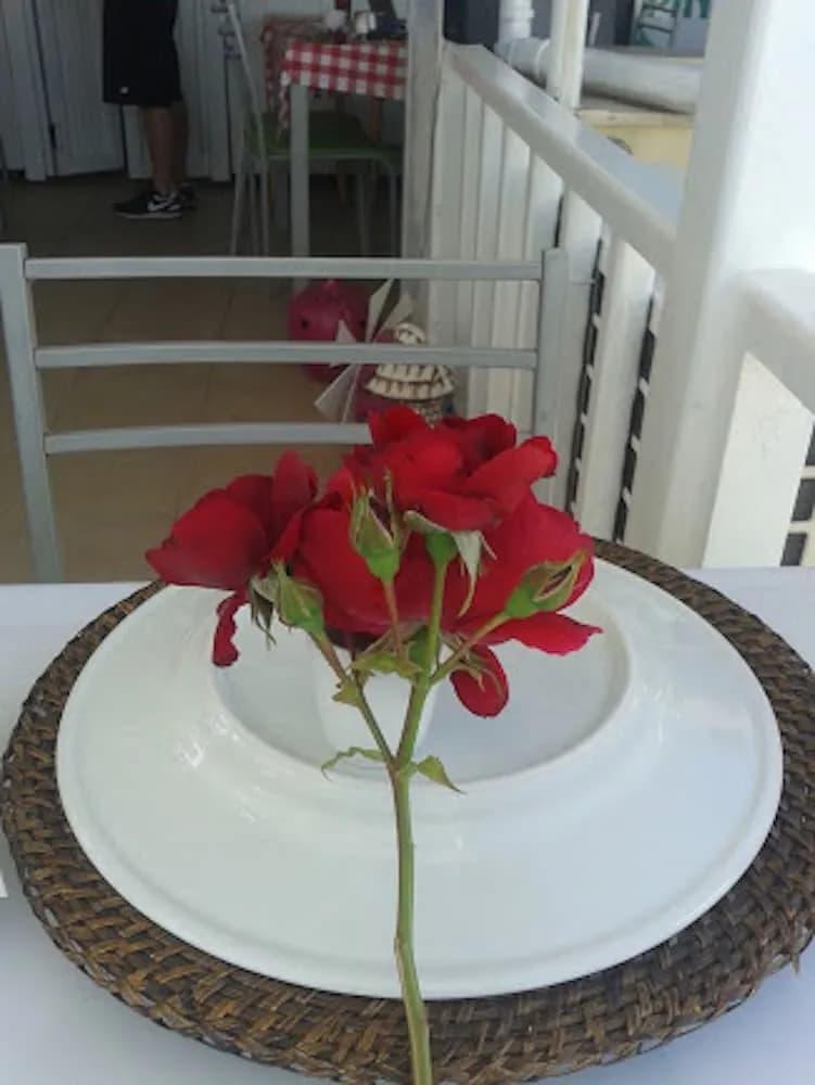 Teras/veranda