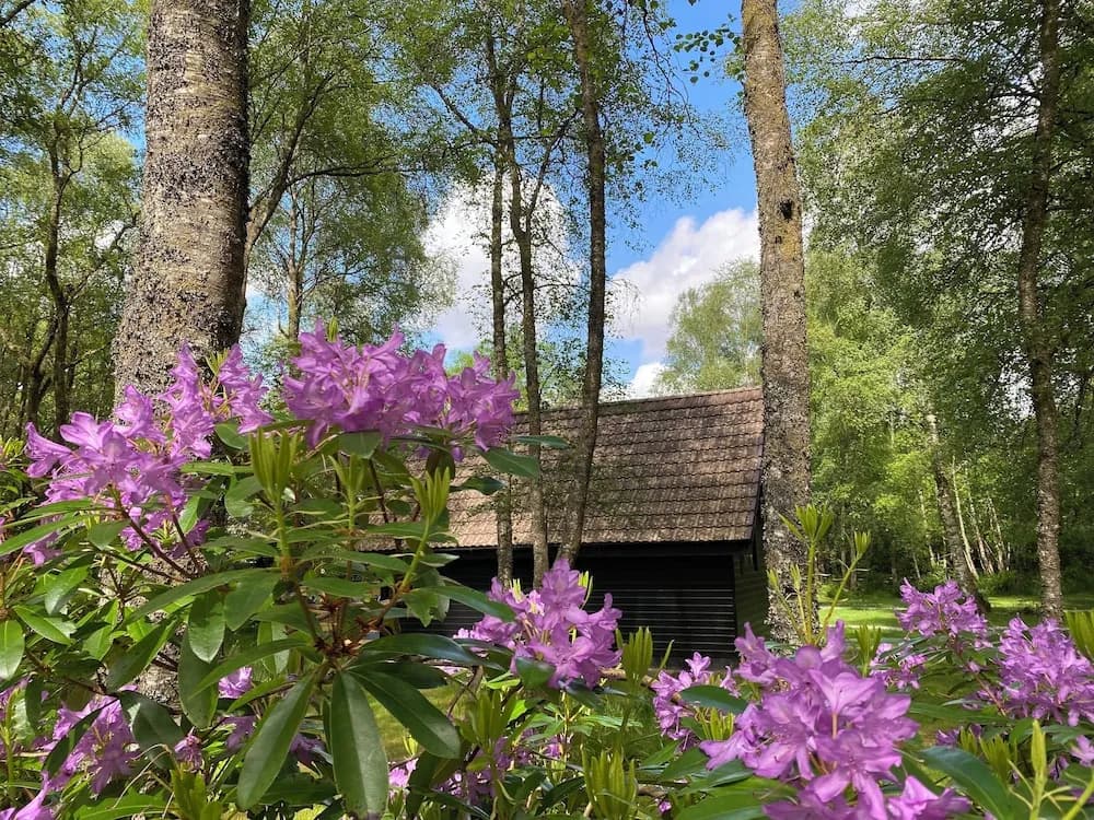 Burnbank Lodges