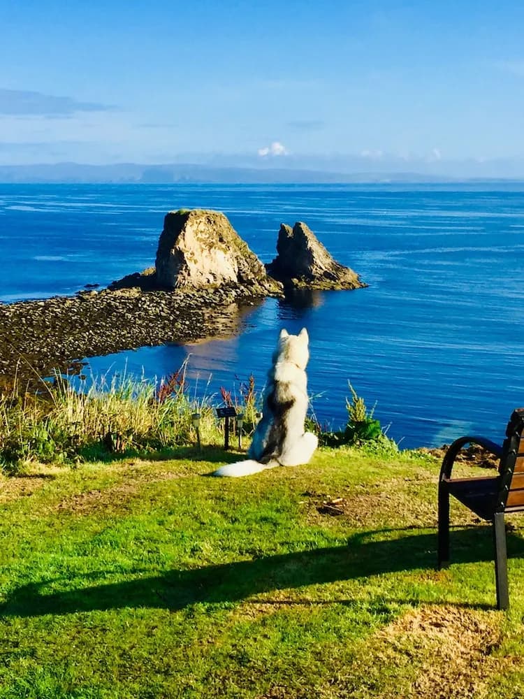 Windhaven B&B