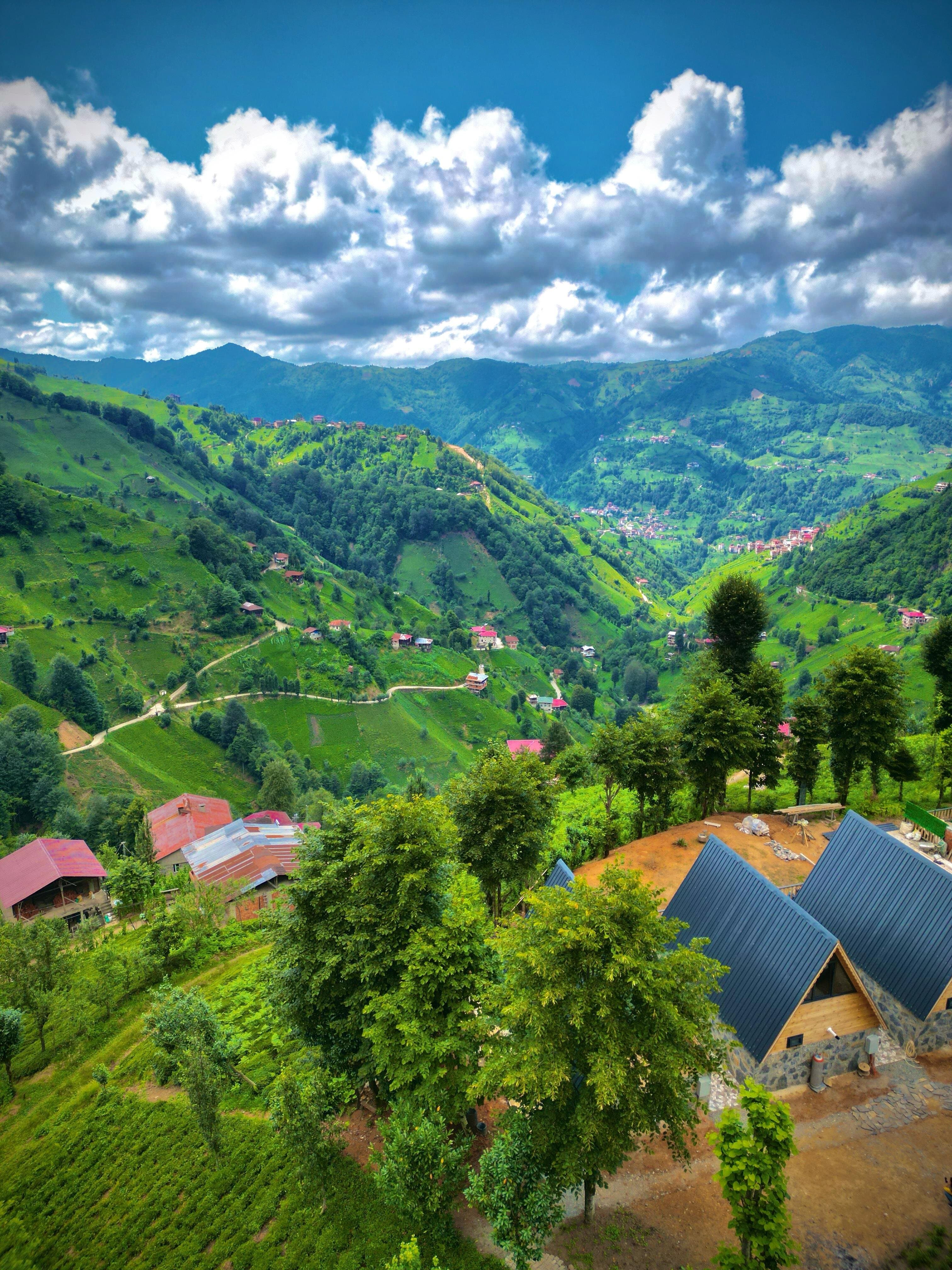 Doğallife Bungalov