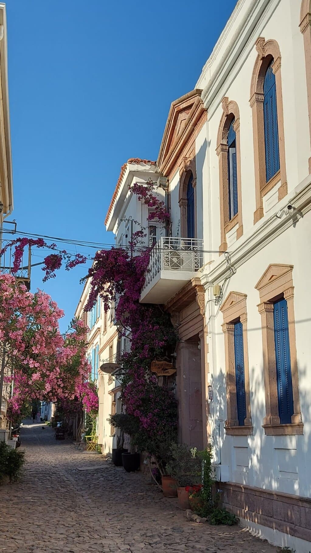 Lunarya Kuleli Konak