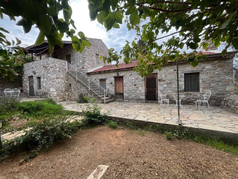 Zeytin Eski Datça