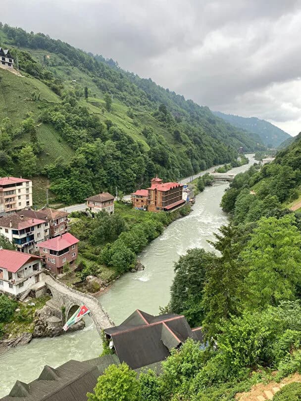 Vadidekal
