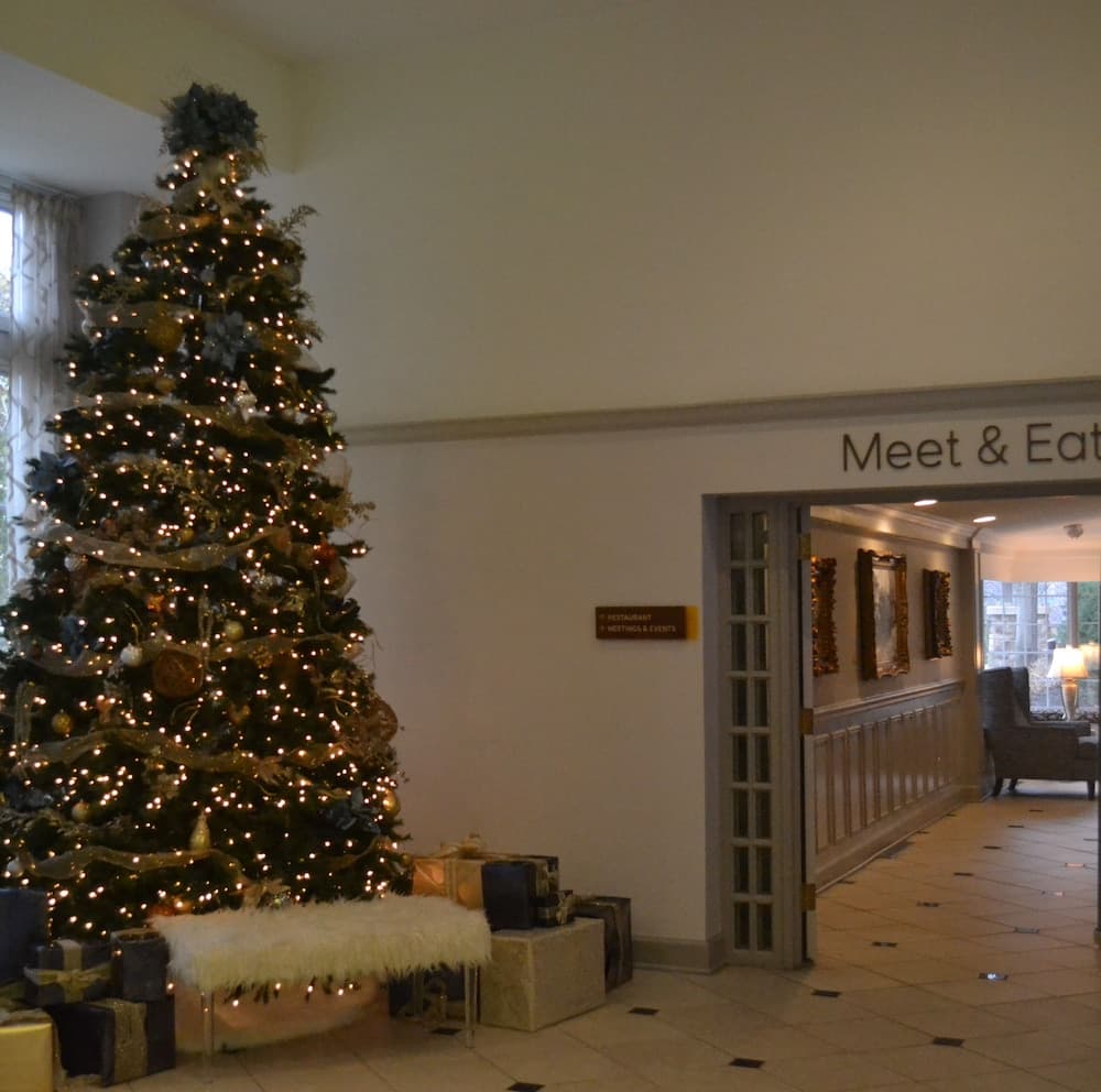 Lobi dinlenme salonu