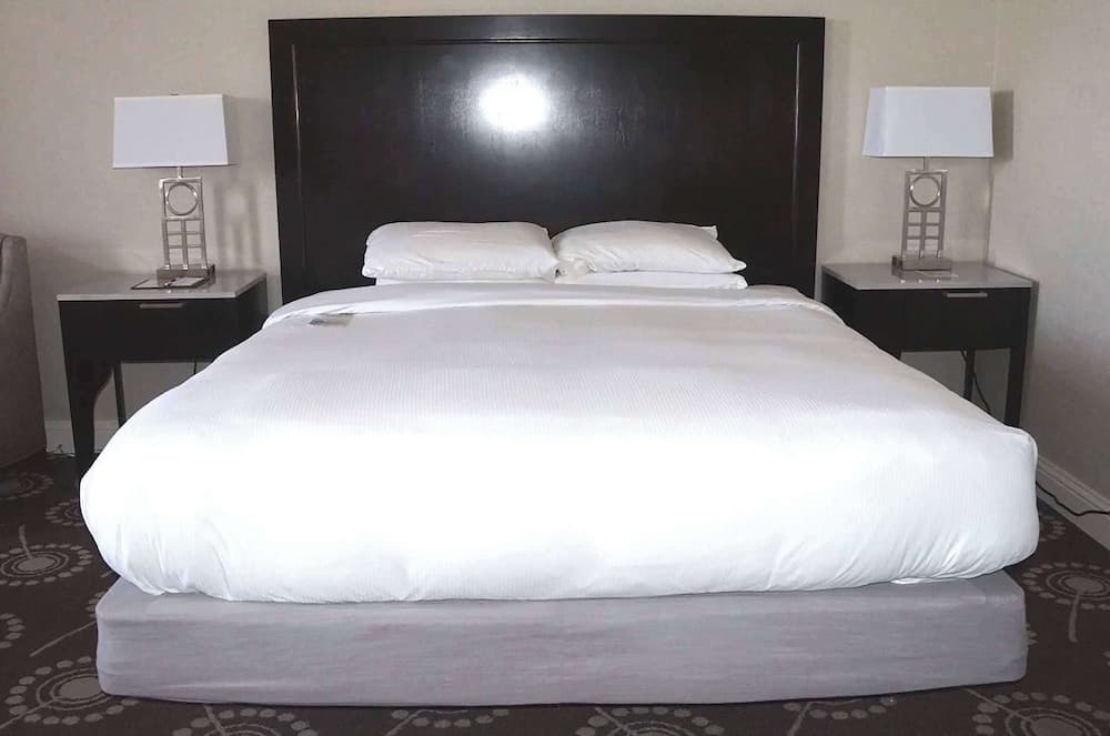 Wyndham Midland Downtown