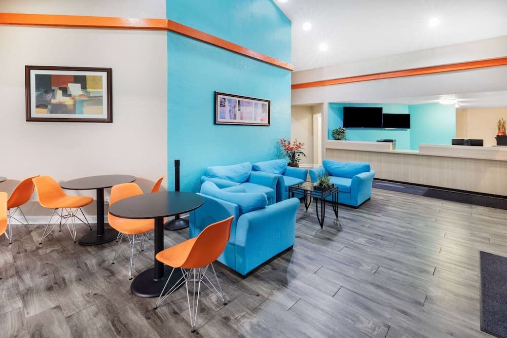 Lobi