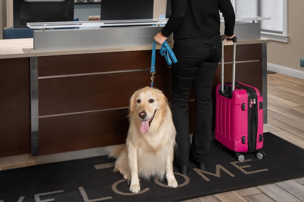 Giriş/çıkış büfesi