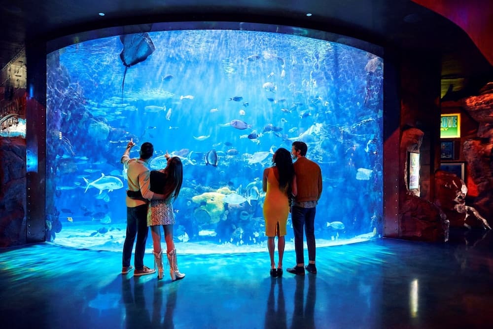 Konaklama yeri imkân ve özellikleri