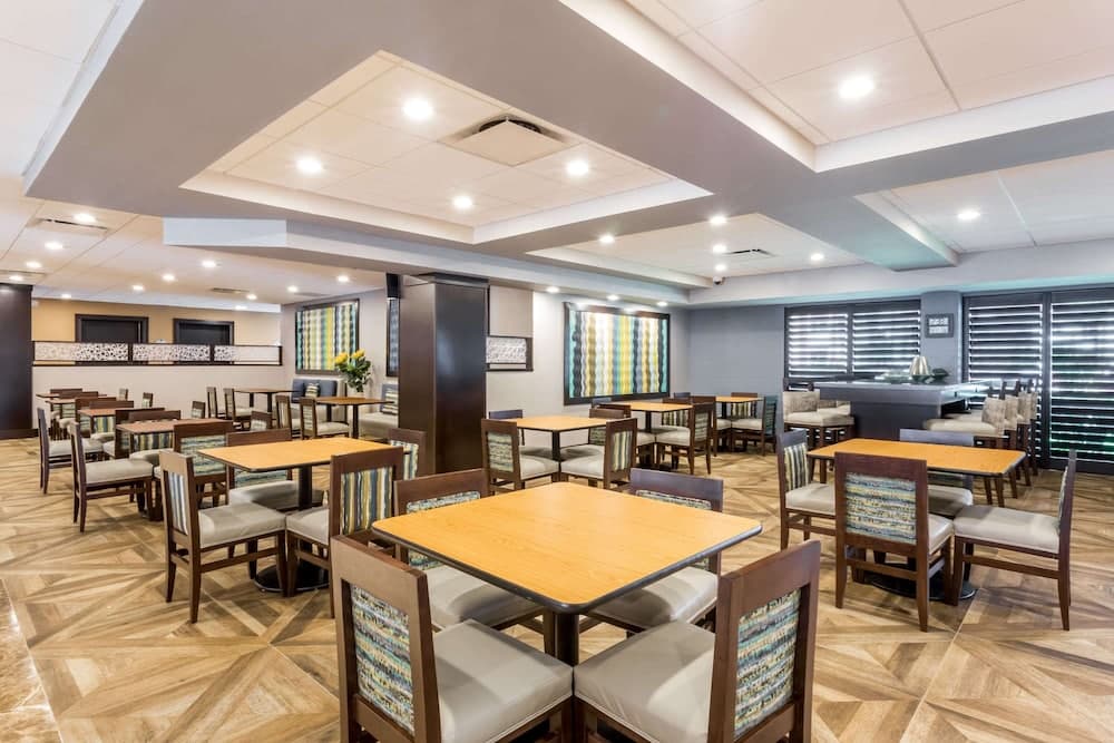 Lobi