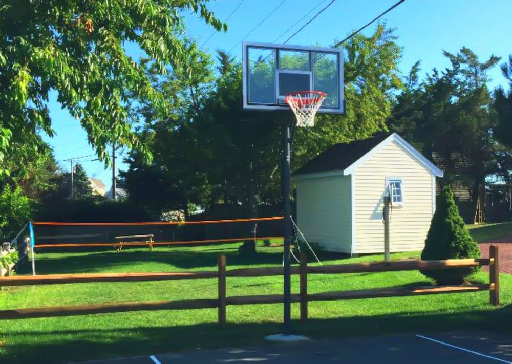 Basketbol sahası