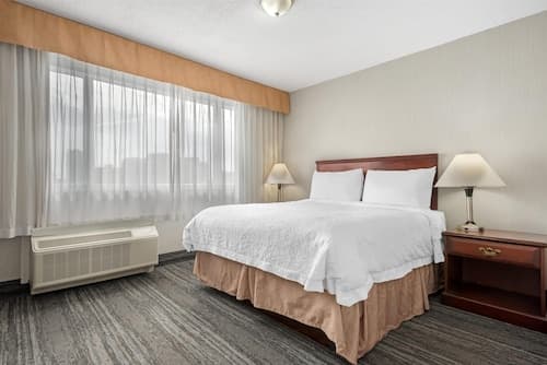 Best Western Plus Suites Downtown
